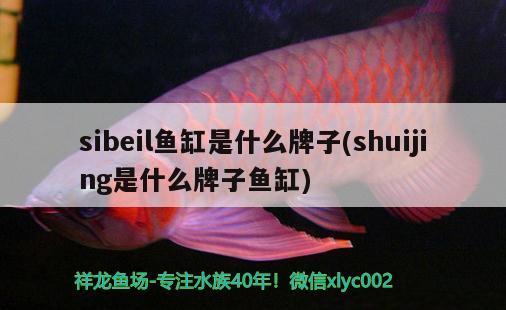 sibeil魚(yú)缸是什么牌子(shuijing是什么牌子魚(yú)缸)