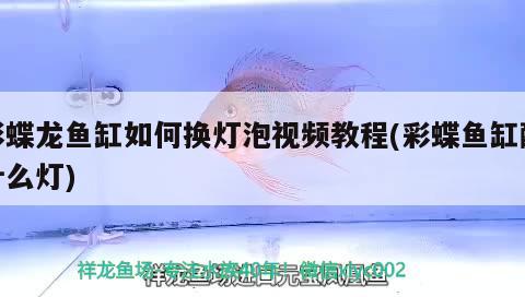 彩蝶龍魚缸如何換燈泡視頻教程(彩蝶魚缸配什么燈)