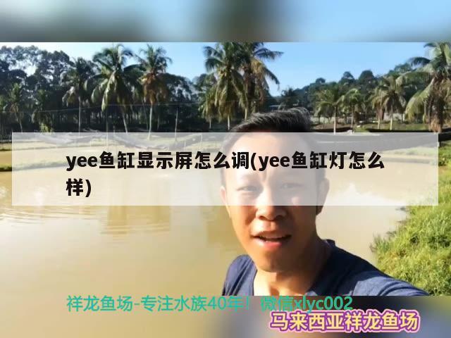 yee魚(yú)缸顯示屏怎么調(diào)(yee魚(yú)缸燈怎么樣) yee