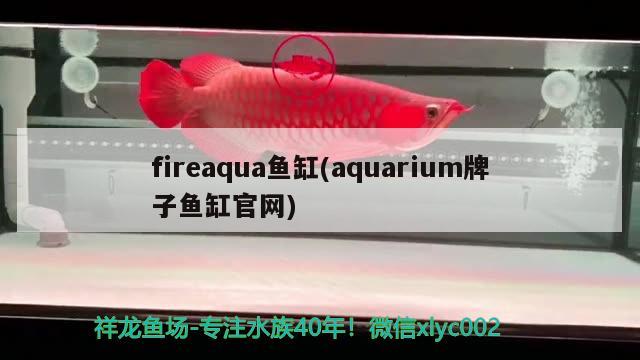 fireaqua魚缸(aquarium牌子魚缸官網(wǎng)) 戰(zhàn)車紅龍魚