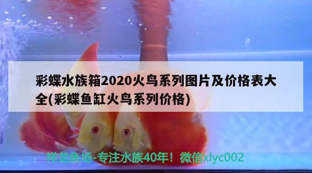 彩蝶水族箱2020火鳥系列圖片及價格表大全(彩蝶魚缸火鳥系列價格) 魚缸/水族箱