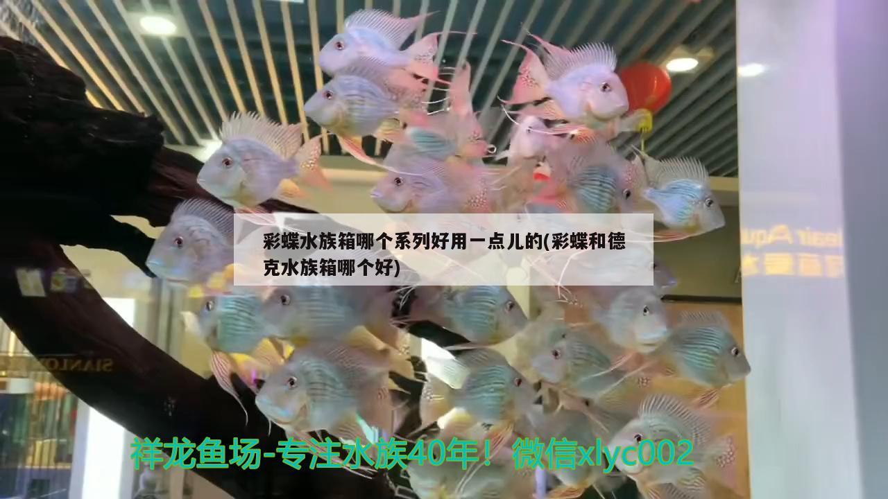 彩蝶水族箱哪個系列好用一點(diǎn)兒的(彩蝶和德克水族箱哪個好) 魚缸/水族箱