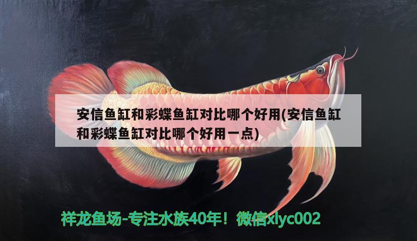 安信魚缸和彩蝶魚缸對比哪個好用(安信魚缸和彩蝶魚缸對比哪個好用一點)