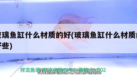 玻璃魚缸什么材質(zhì)的好(玻璃魚缸什么材質(zhì)的好些)