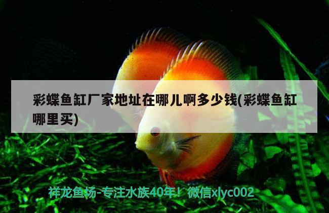 彩蝶魚缸廠家地址在哪兒啊多少錢(彩蝶魚缸哪里買)