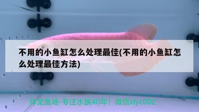 不用的小魚缸怎么處理最佳(不用的小魚缸怎么處理最佳方法) 過濾設備