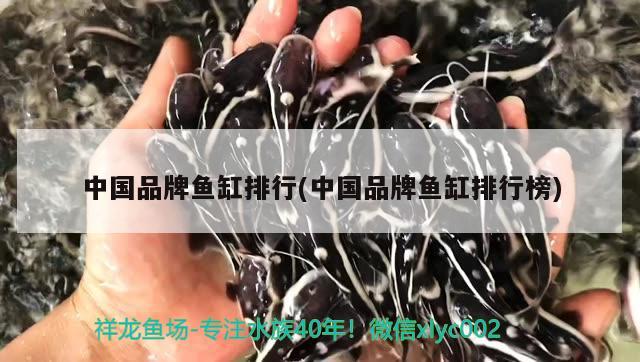 中國品牌魚缸排行(中國品牌魚缸排行榜)