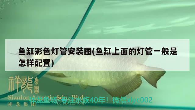 魚缸彩色燈管安裝圖(魚缸上面的燈管一般是怎樣配置) 魚缸凈水劑