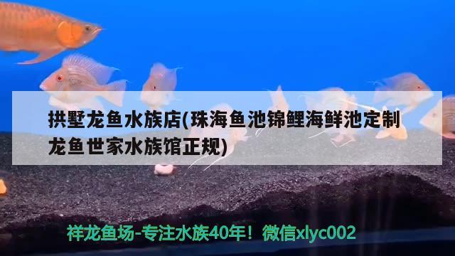 拱墅龍魚水族店(珠海魚池錦鯉海鮮池定制龍魚世家水族館正規(guī))