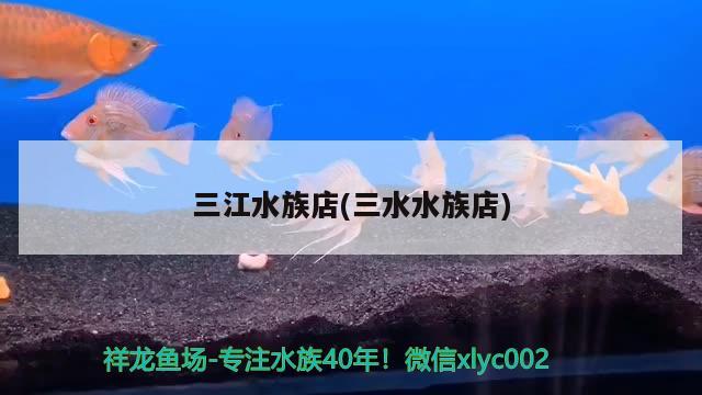 三江水族店(三水水族店) 造景/裝飾 第1張