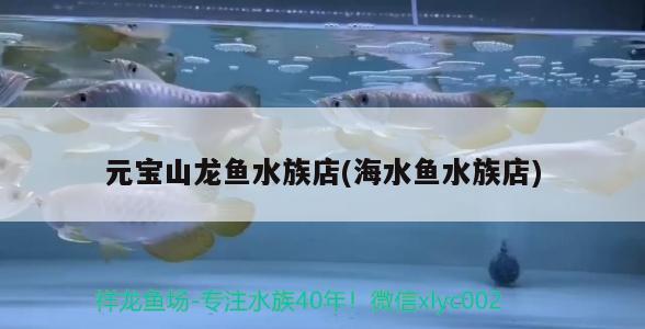 元寶山龍魚水族店(海水魚水族店) 海水魚 第2張