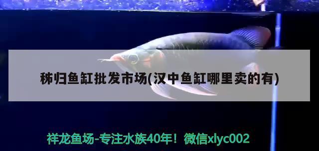 秭歸魚(yú)缸批發(fā)市場(chǎng)(漢中魚(yú)缸哪里賣(mài)的有)