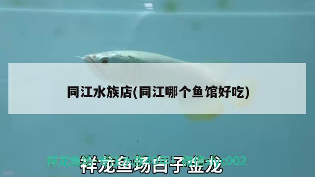 同江水族店(同江哪個魚館好吃)