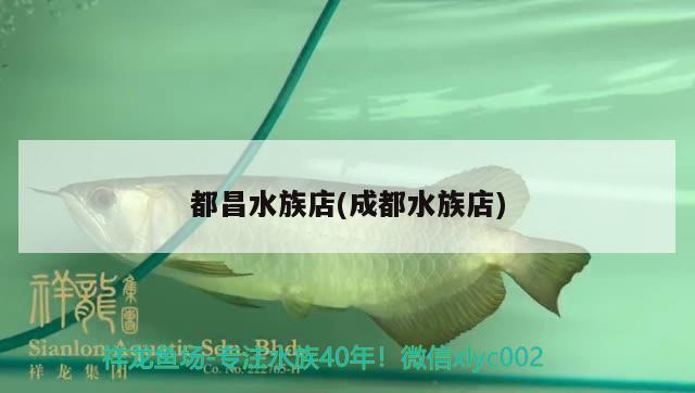 都昌水族店(成都水族店) 黑白雙星魚(yú)