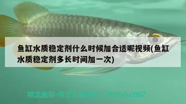 魚缸水質(zhì)穩(wěn)定劑什么時候加合適呢視頻(魚缸水質(zhì)穩(wěn)定劑多長時間加一次) 眼斑魚