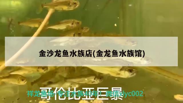 金沙龍魚水族店(金龍魚水族館) 龍魚專用燈