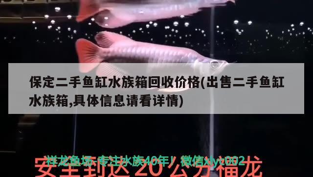 保定二手魚缸水族箱回收價(jià)格(出售二手魚缸水族箱,具體信息請(qǐng)看詳情) 魚缸/水族箱