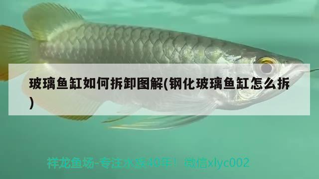 玻璃魚缸如何拆卸圖解(鋼化玻璃魚缸怎么拆)