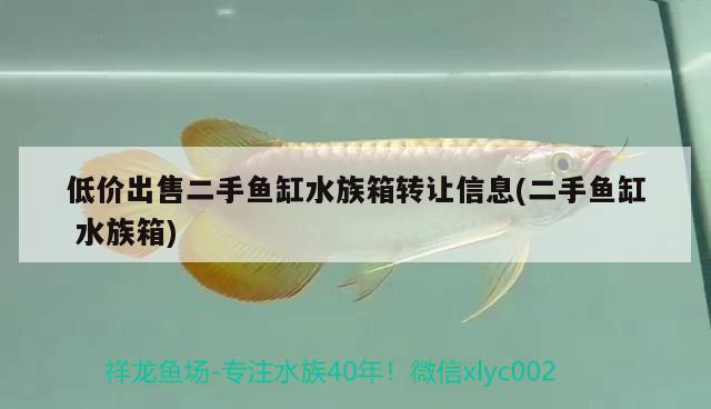 低價(jià)出售二手魚(yú)缸水族箱轉(zhuǎn)讓信息(二手魚(yú)缸水族箱) 魚(yú)缸/水族箱