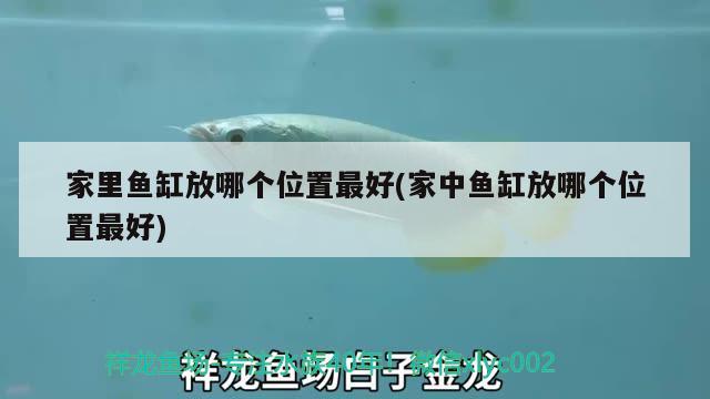 家里魚缸放哪個位置最好(家中魚缸放哪個位置最好)