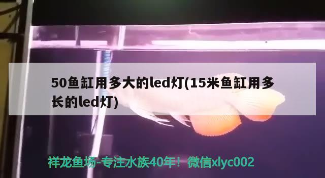 50魚缸用多大的led燈(15米魚缸用多長的led燈)