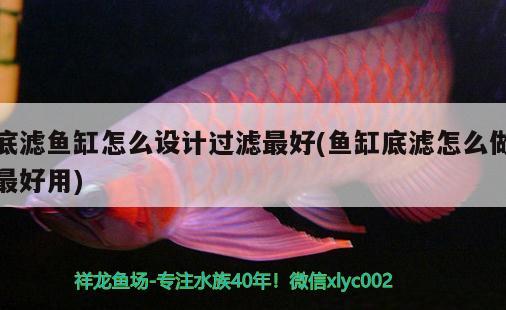 底濾魚缸怎么設(shè)計過濾最好(魚缸底濾怎么做最好用) 魚缸風(fēng)水