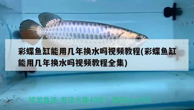 彩蝶魚(yú)缸能用幾年換水嗎視頻教程(彩蝶魚(yú)缸能用幾年換水嗎視頻教程全集)