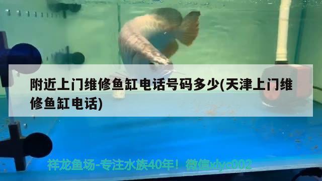 附近上門維修魚缸電話號碼多少(天津上門維修魚缸電話) 祥龍超血紅龍魚