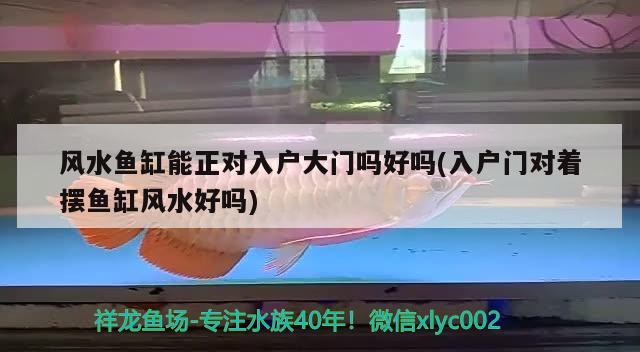 風(fēng)水魚缸能正對入戶大門嗎好嗎(入戶門對著擺魚缸風(fēng)水好嗎)