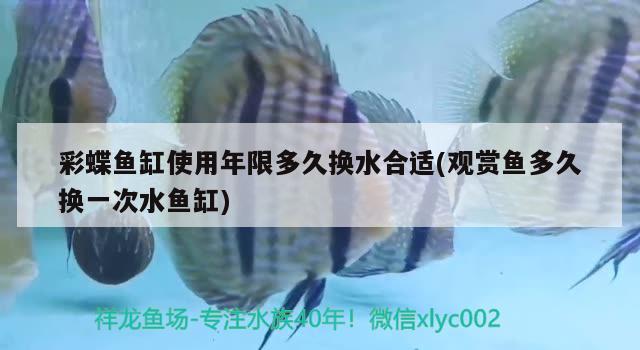 彩蝶魚缸使用年限多久換水合適(觀賞魚多久換一次水魚缸)