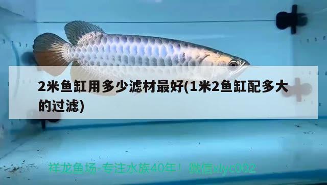 2米魚(yú)缸用多少濾材最好(1米2魚(yú)缸配多大的過(guò)濾) 祥龍金禾金龍魚(yú)