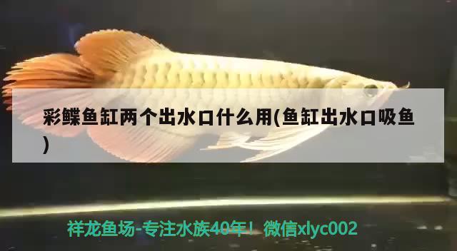 彩鰈魚缸兩個(gè)出水口什么用(魚缸出水口吸魚) 金龍魚糧