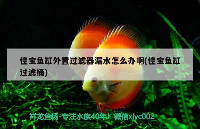 佳寶魚缸外置過濾器漏水怎么辦啊(佳寶魚缸過濾桶)