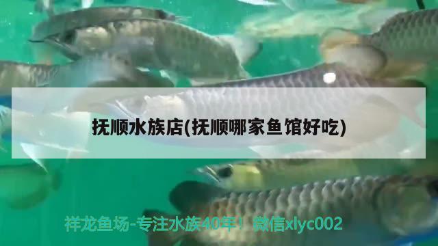 撫順?biāo)宓?撫順哪家魚館好吃)