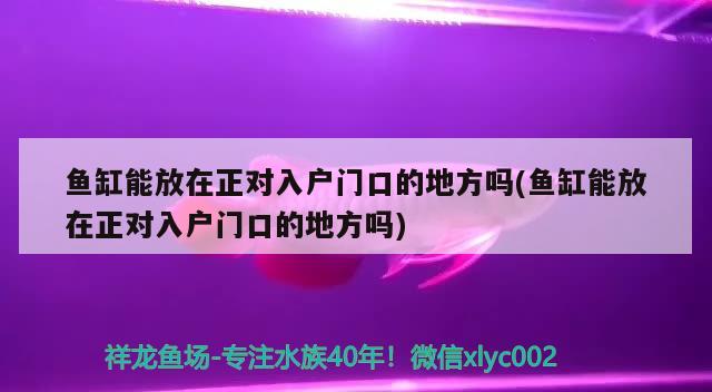 魚缸能放在正對入戶門口的地方嗎(魚缸能放在正對入戶門口的地方嗎) BD魟魚