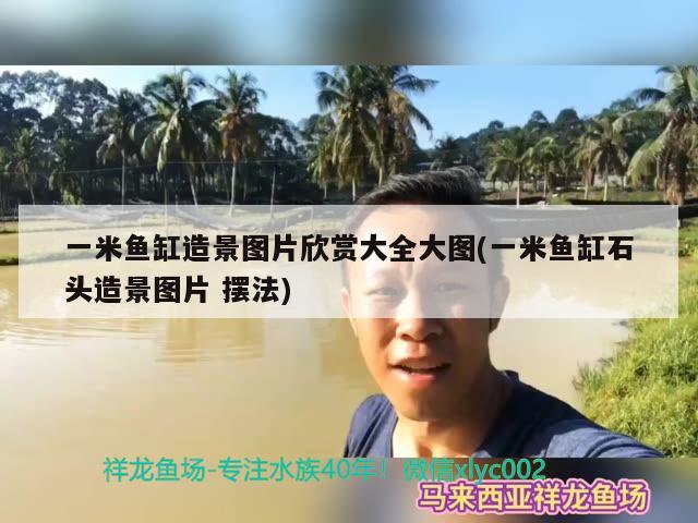 一米魚缸造景圖片欣賞大全大圖(一米魚缸石頭造景圖片擺法)