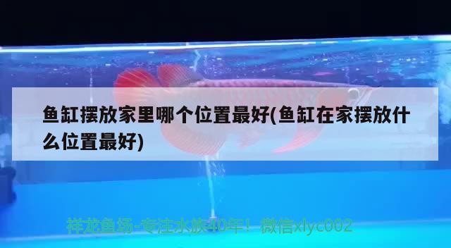 魚缸擺放家里哪個位置最好(魚缸在家擺放什么位置最好)