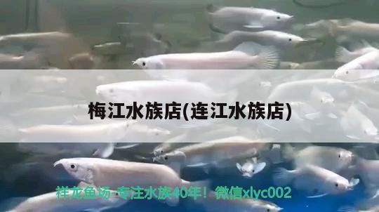 梅江水族店(連江水族店) 祥龍龍魚專用水族燈