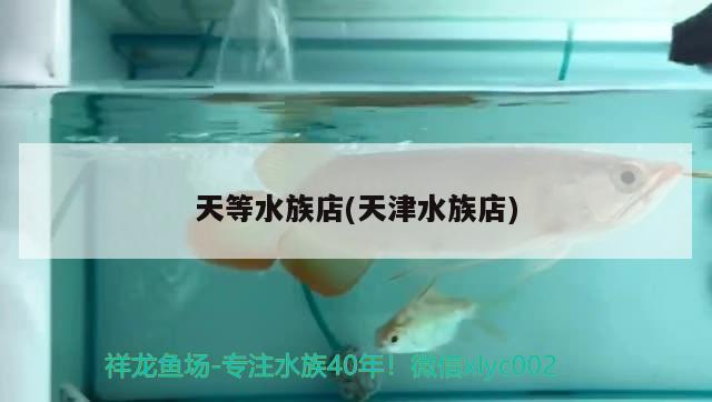 天等水族店(天津水族店) 財神鸚鵡魚