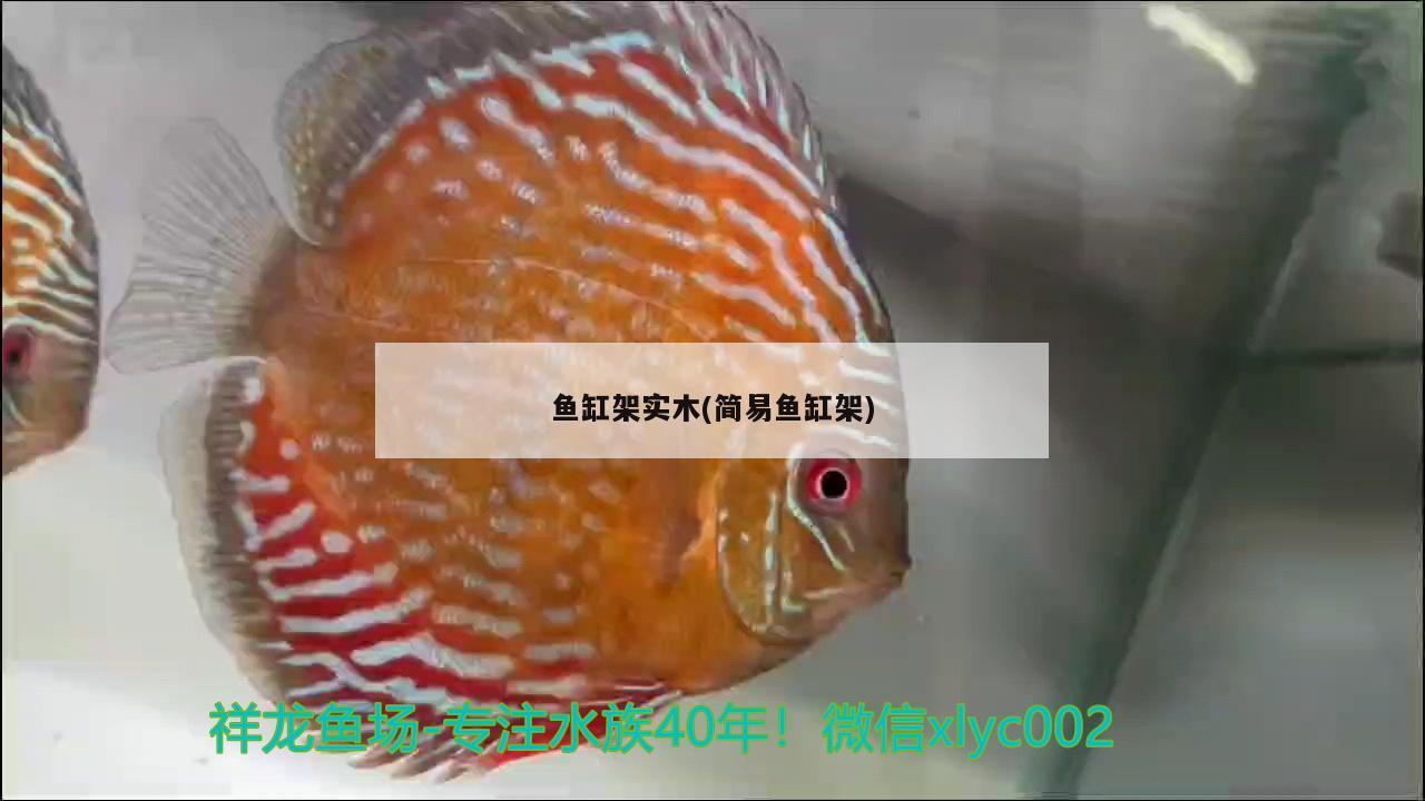 魚缸架實木(簡易魚缸架) 水族世界