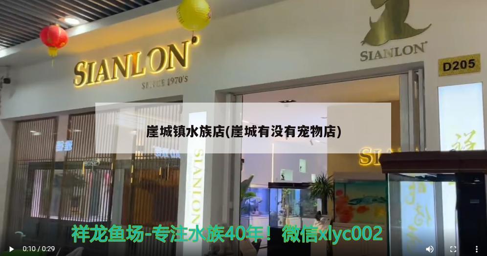 崖城鎮(zhèn)水族店(崖城有沒有寵物店)