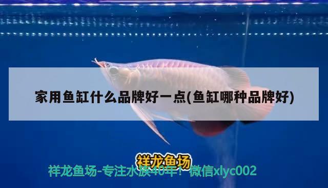 家用魚缸什么品牌好一點(魚缸哪種品牌好) 魟魚百科