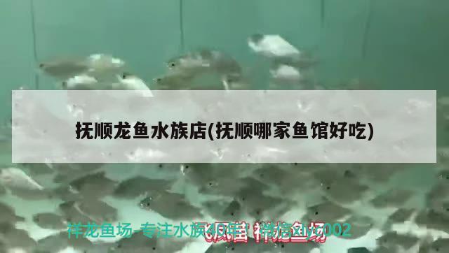 撫順龍魚水族店(撫順哪家魚館好吃) 殺菌消毒設備