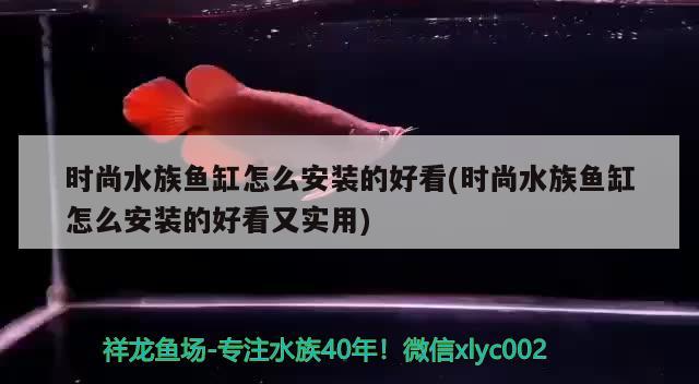 時(shí)尚水族魚缸怎么安裝的好看(時(shí)尚水族魚缸怎么安裝的好看又實(shí)用) 溫控設(shè)備