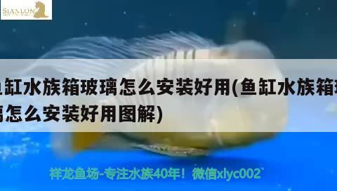 魚缸水族箱玻璃怎么安裝好用(魚缸水族箱玻璃怎么安裝好用圖解) 魚缸/水族箱