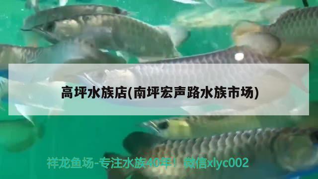 高坪水族店(南坪宏聲路水族市場) 黑白雙星魚