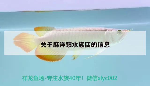 關(guān)于麻洋鎮(zhèn)水族店的信息 飛鳳魚