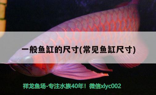 一般魚缸的尺寸(常見魚缸尺寸) 圣菲埃及魚