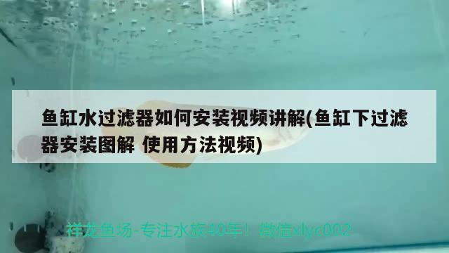 魚缸水過濾器如何安裝視頻講解(魚缸下過濾器安裝圖解使用方法視頻) 黃金貓魚百科