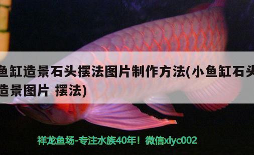 魚缸造景石頭擺法圖片制作方法(小魚缸石頭造景圖片擺法)